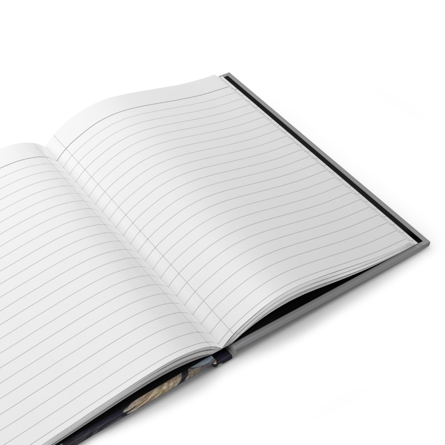 Hand of Mysteries Journal