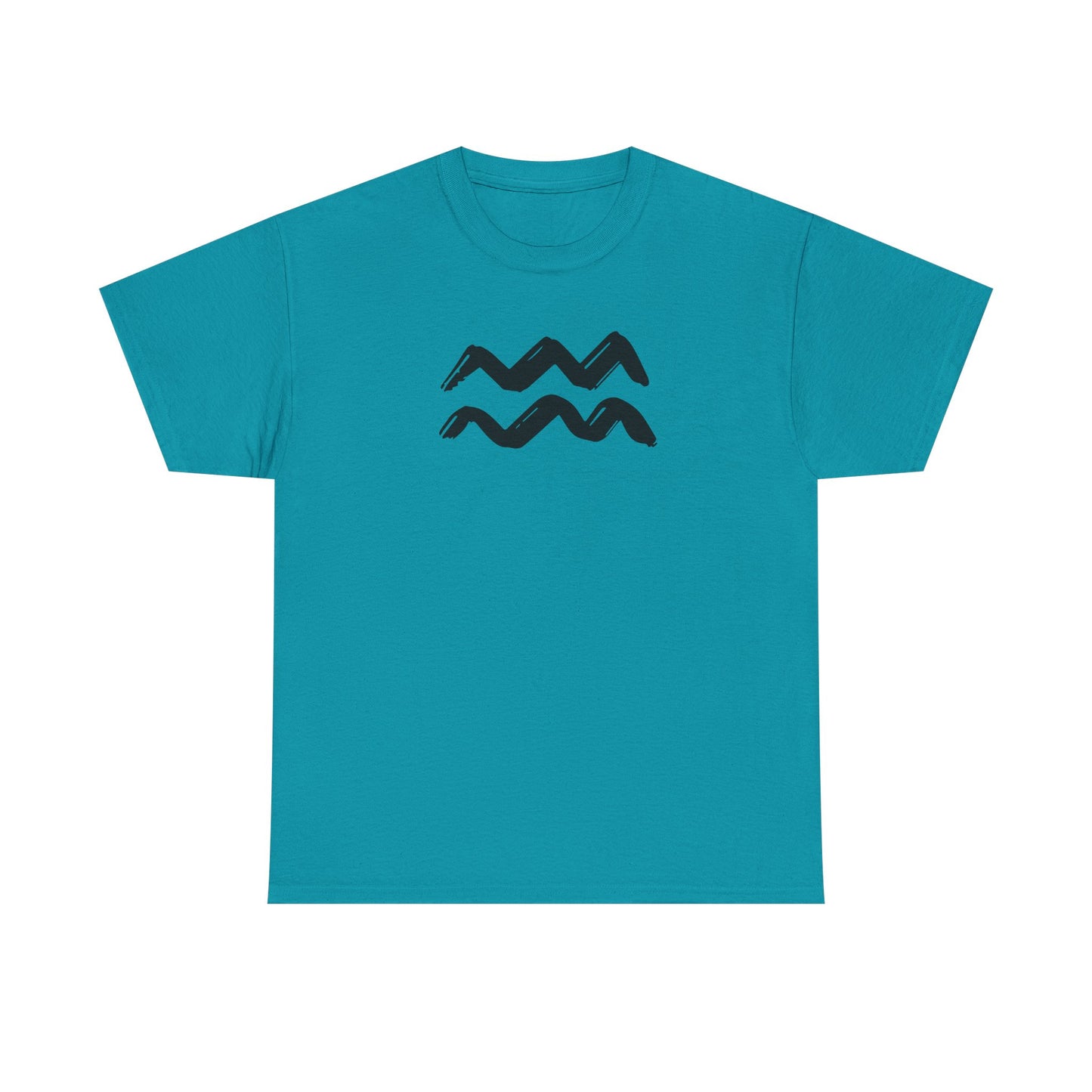 Aquarius T-Shirt