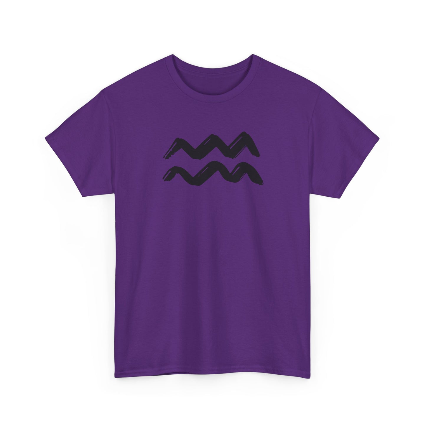 Aquarius T-Shirt