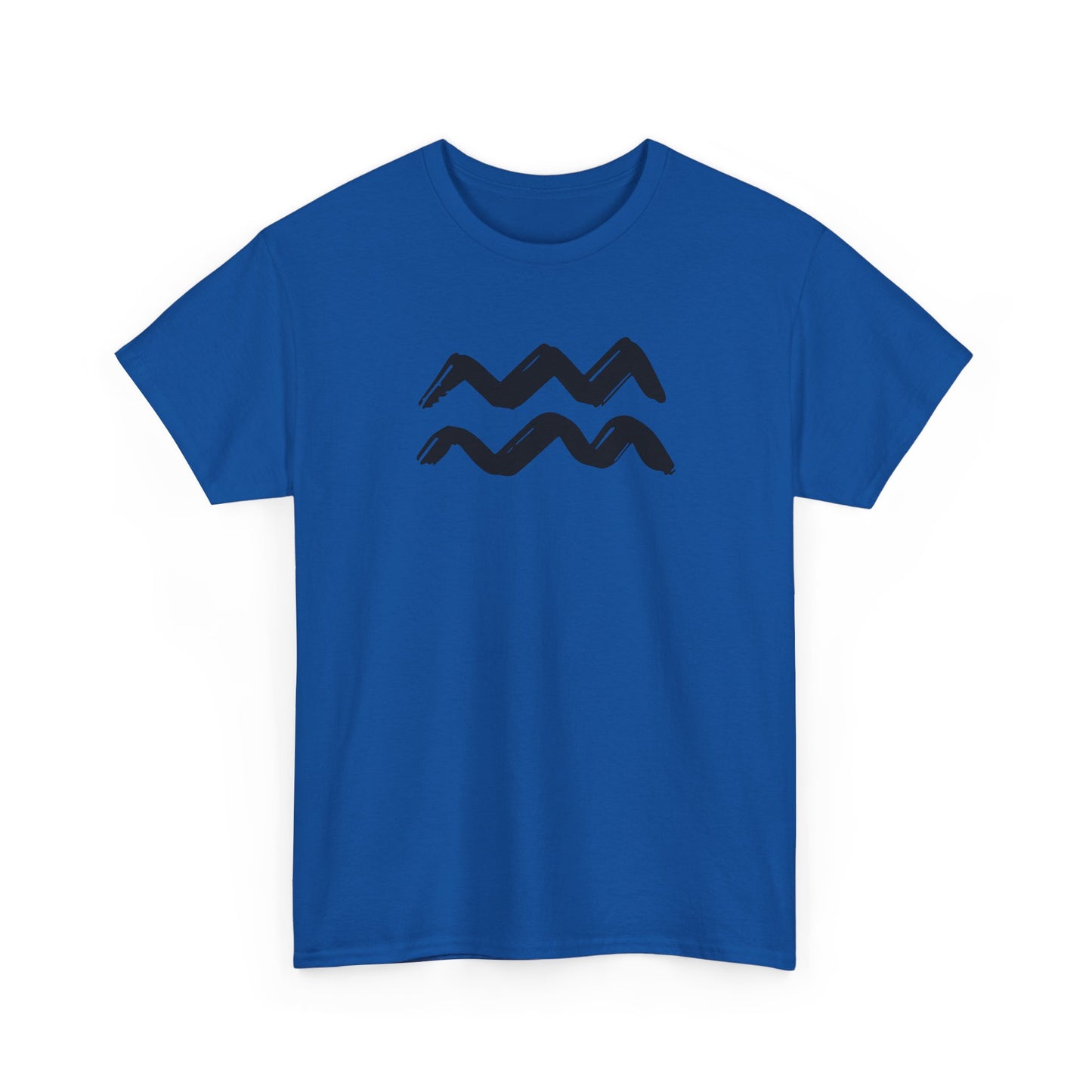 Aquarius T-Shirt