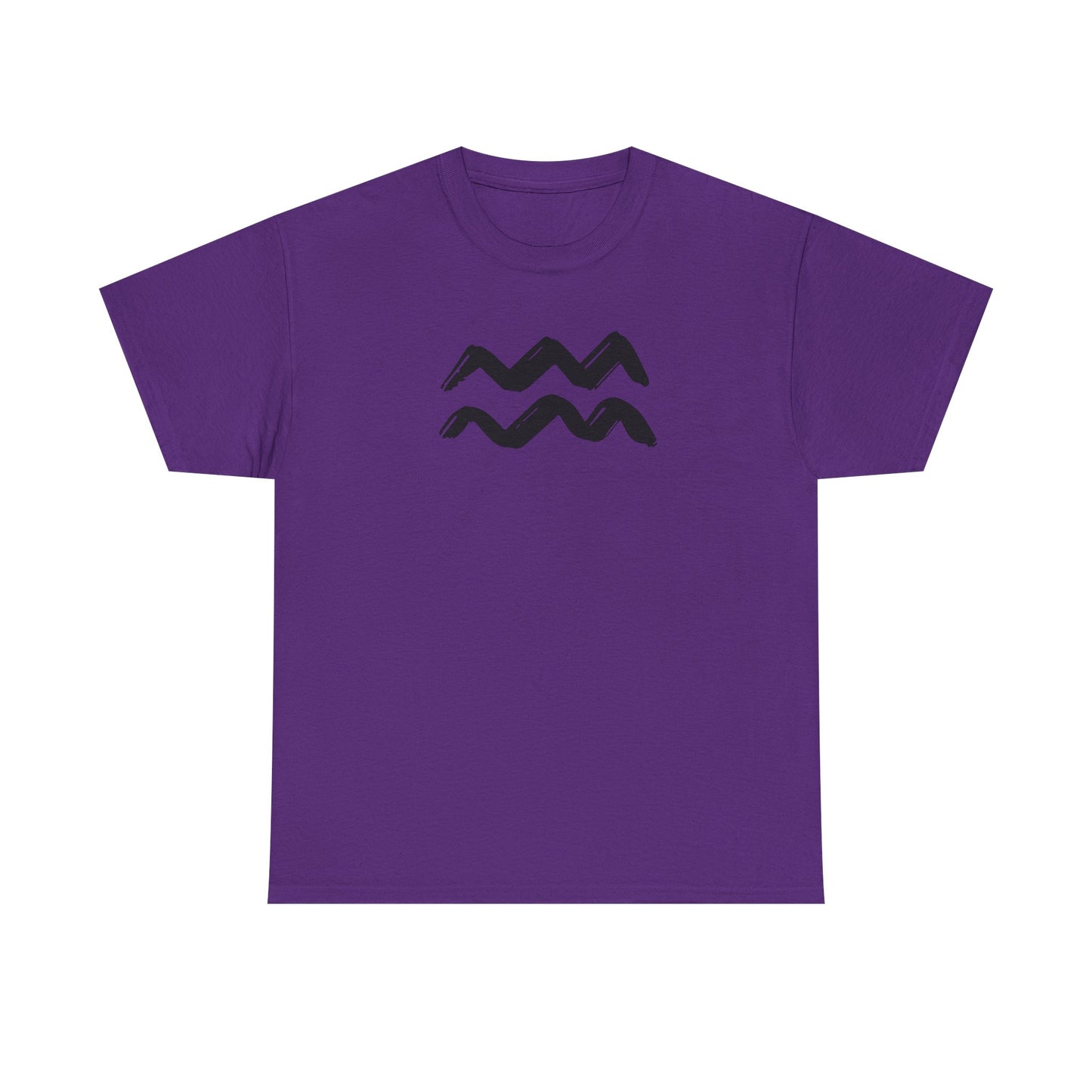 Aquarius T-Shirt